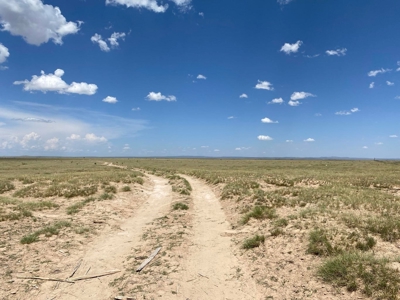 Expansive 540-Acre Grazing Land in Torrance County - image 4