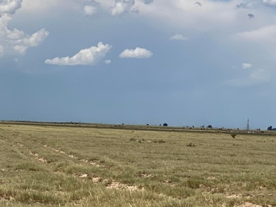 Expansive 540-Acre Grazing Land in Torrance County - image 1