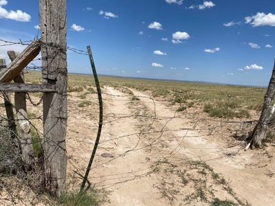 Expansive 540-Acre Grazing Land in Torrance County - image 3