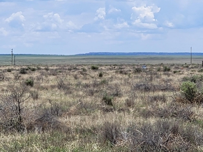 Secluded 60-Acre Retreat in McIntosh, NM - Torrance County - image 1