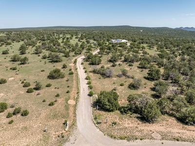 40-Acre Country Home in Corona, NM – Cougar Mountain Estates - image 47