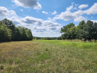 Country Acreage – National Forest Area – Creek Frontage - image 10