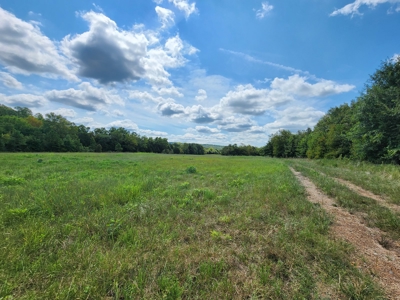 Country Acreage – National Forest Area – Creek Frontage - image 5