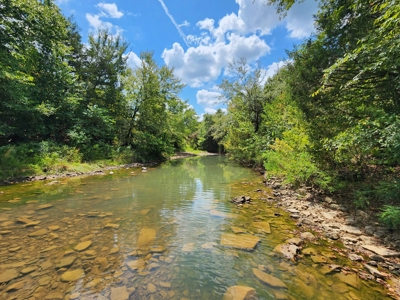 Country Acreage – National Forest Area – Creek Frontage - image 1