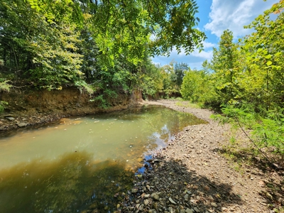 Country Acreage – National Forest Area – Creek Frontage - image 20