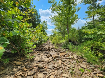 Country Acreage – National Forest Area – Creek Frontage - image 21