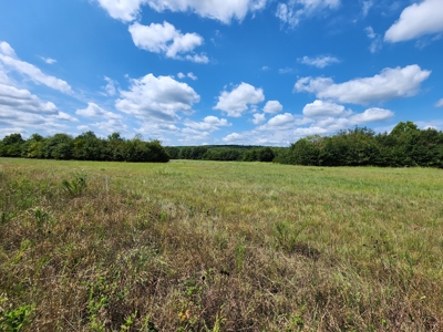 Country Acreage – National Forest Area – Creek Frontage - image 2
