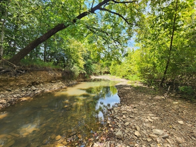 Country Acreage – National Forest Area – Creek Frontage - image 19