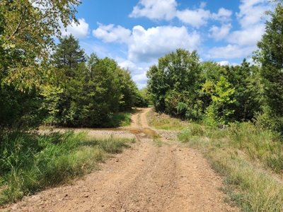 Country Acreage – National Forest Area – Creek Frontage - image 16