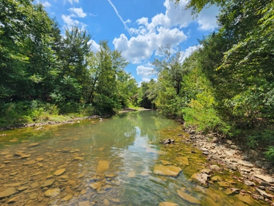 Country Acreage – National Forest Area – Creek Frontage - image 18