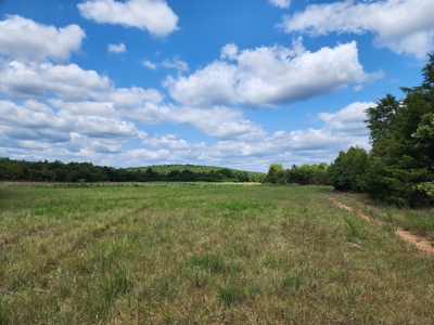 Country Acreage – National Forest Area – Creek Frontage - image 14