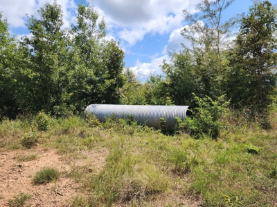 Country Acreage – National Forest Area – Creek Frontage - image 15