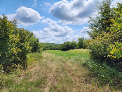 Country Acreage – National Forest Area – Creek Frontage - image 12
