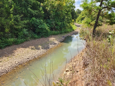 Country Acreage – National Forest Area – Creek Frontage - image 6