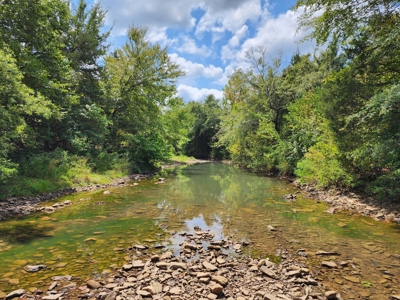 Country Acreage – National Forest Area – Creek Frontage - image 17