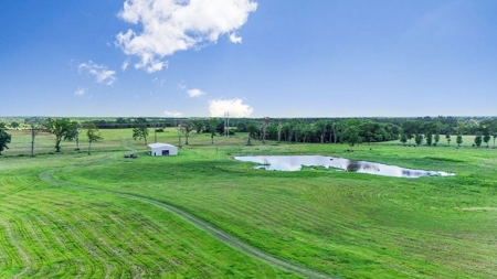 Mississippi Cattle Farm For Sale Pearl River County - image 4