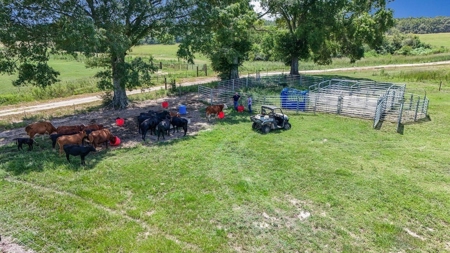 Mississippi Cattle Farm For Sale Pearl River County - image 16