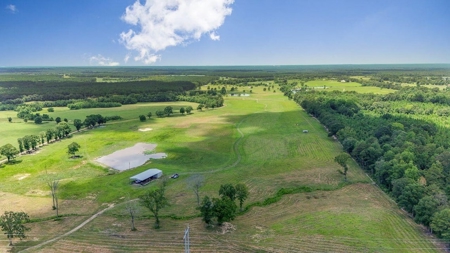 Mississippi Cattle Farm For Sale Pearl River County - image 11