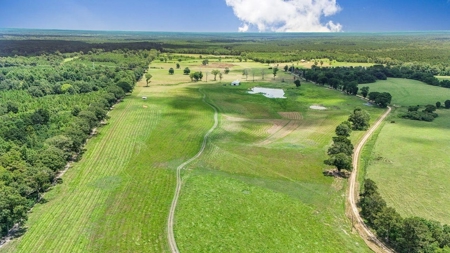 Mississippi Cattle Farm For Sale Pearl River County - image 2