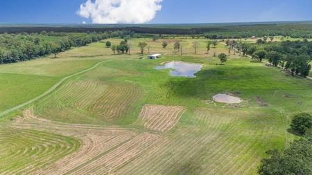 Mississippi Cattle Farm For Sale Pearl River County - image 3