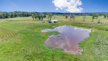 Mississippi Cattle Farm For Sale Pearl River County - image 5