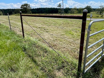 Mississippi Cattle Farm For Sale Pearl River County - image 17