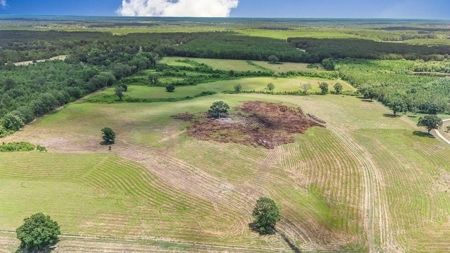 Mississippi Cattle Farm For Sale Pearl River County - image 12
