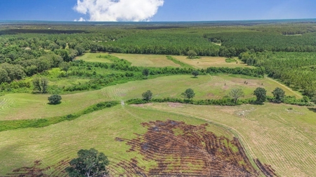 Mississippi Cattle Farm For Sale Pearl River County - image 14