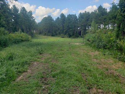 Recreational Property In Winn Parish For Sale - image 5