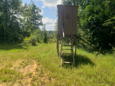 Recreational Property In Winn Parish For Sale - image 3