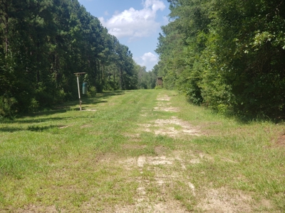 Recreational Property In Winn Parish For Sale - image 9