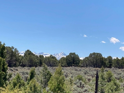 Land For Sale Log Hill, Ridgway, Colorado - image 6