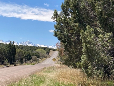 Land For Sale Log Hill, Ridgway, Colorado - image 1