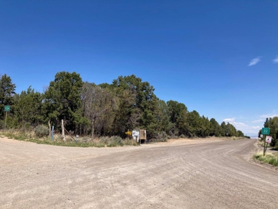 Land For Sale Log Hill, Ridgway, Colorado - image 9