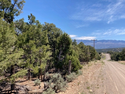 Land For Sale Log Hill, Ridgway, Colorado - image 5