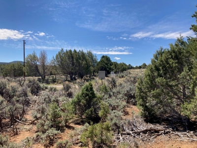 Land For Sale Log Hill, Ridgway, Colorado - image 12