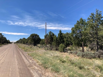 Land For Sale Log Hill, Ridgway, Colorado - image 4