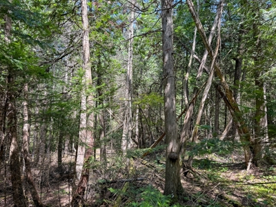 324± Acres of Maine Land - image 28