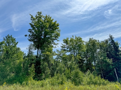 324± Acres of Maine Land - image 15