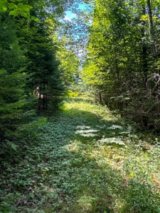 324± Acres of Maine Land - image 32