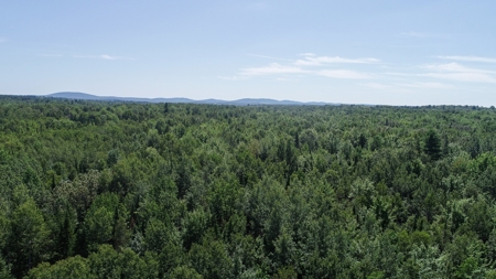 324± Acres of Maine Land - image 6