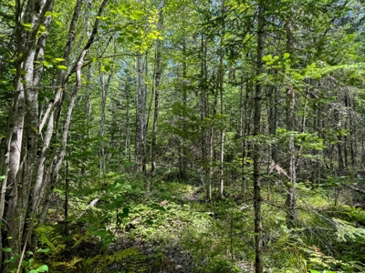 324± Acres of Maine Land - image 13