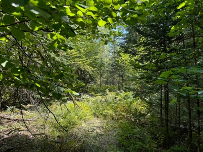 324± Acres of Maine Land - image 22