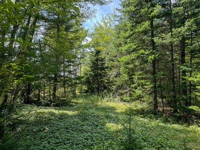 324± Acres of Maine Land - image 11
