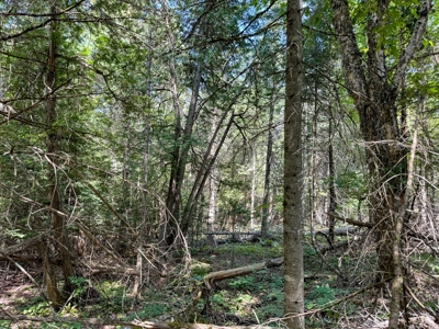 324± Acres of Maine Land - image 26