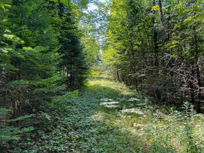 324± Acres of Maine Land - image 29