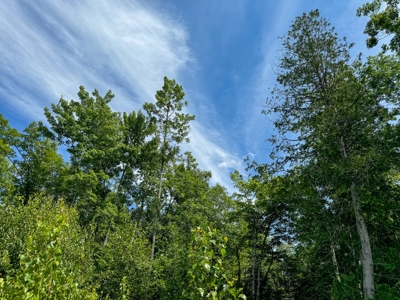 324± Acres of Maine Land - image 16