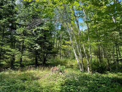 324± Acres of Maine Land - image 10