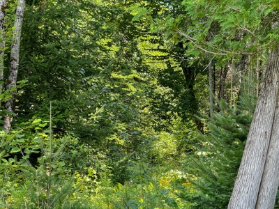 324± Acres of Maine Land - image 17
