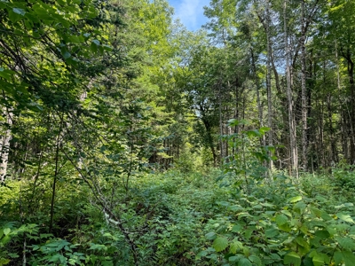 324± Acres of Maine Land - image 18